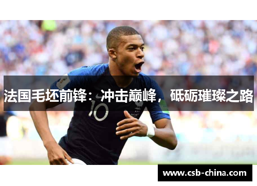 法国毛坯前锋：冲击巅峰，砥砺璀璨之路